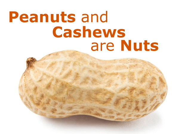 Are Peanuts and Cashews Nuts?