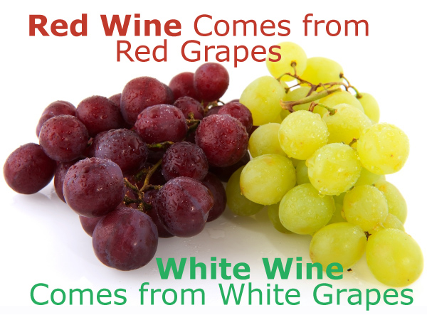 Does Red Wine Come from Red Grapes, and White Wine Come from White Grapes?