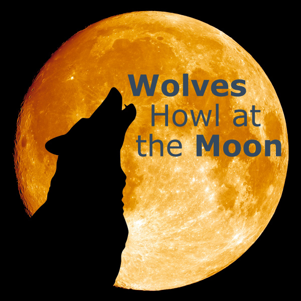 Do Wolves Howl at the Moon?