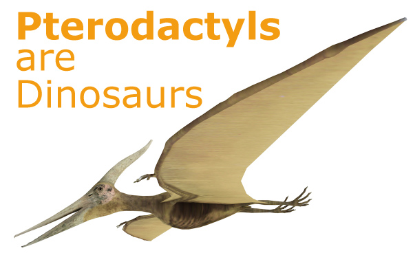 Are Pterodactyls Dinosaurs?