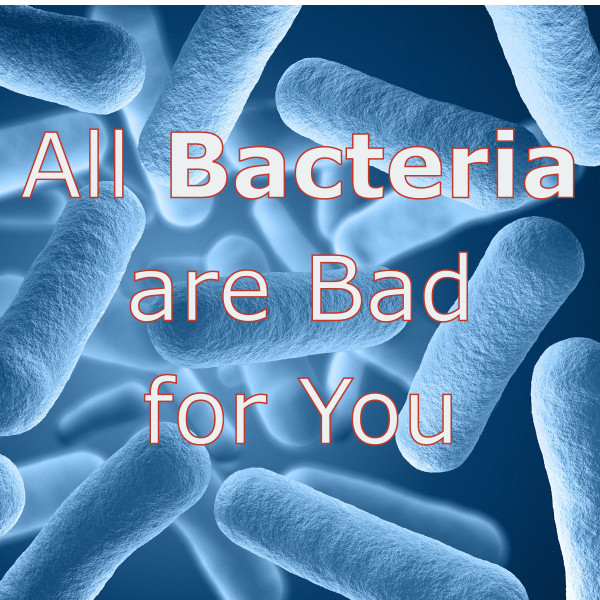 Are All Bacteria Bad for You?