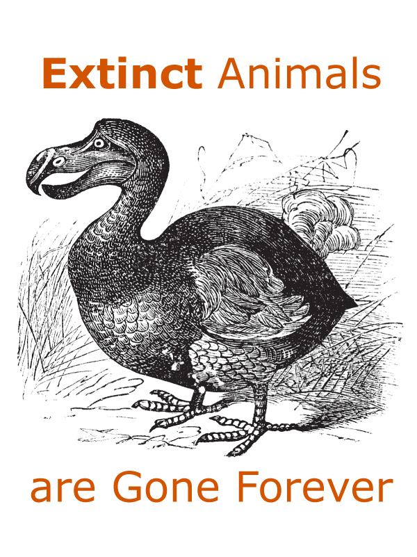 Are Extinct Animals Gone Forever?