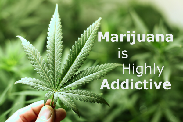 Is Marijuana Addictive?