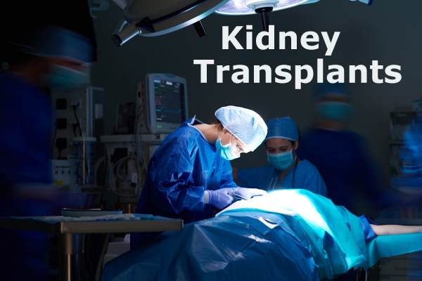 Kidney Transplants